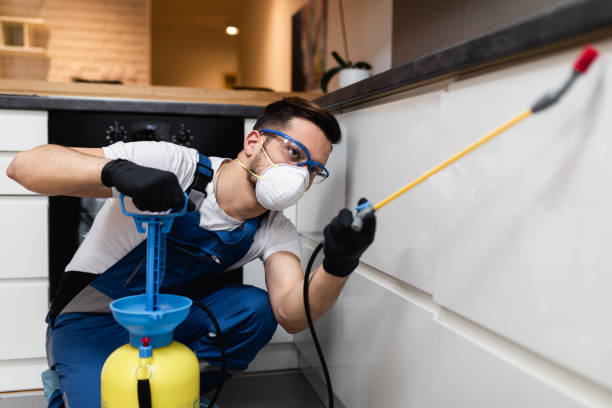 Best Cockroach Control Services  in Azusa, CA