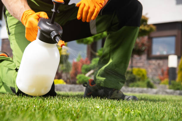 Best Bed Bug Extermination  in Azusa, CA