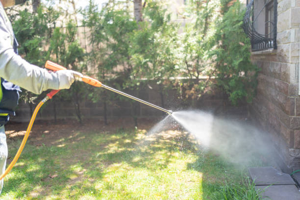 Wasp Removal Services in Azusa, CA