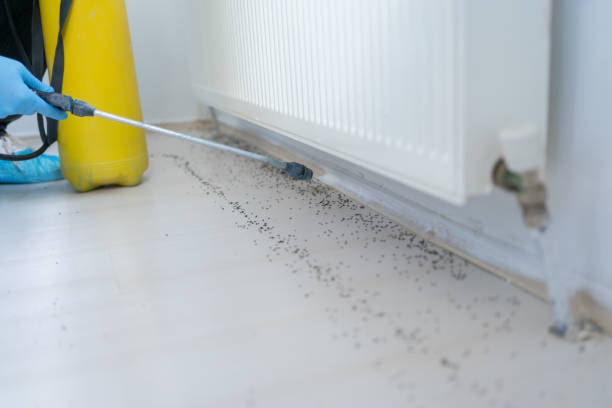 Best Pest Prevention Services  in Azusa, CA