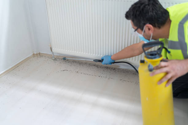 Pest Control Cost in Azusa, CA