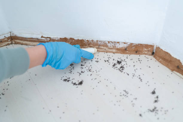 Best Pest Prevention Services  in Azusa, CA
